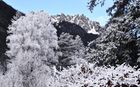 20221208Chamonix_4_small.jpg