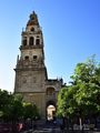 20220605Cordoba_50_small.jpg