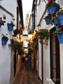 20220605Cordoba_53_small.jpg