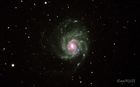 M101_20220430_1_small.jpg