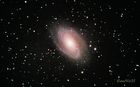 M81_20220202_small.jpg