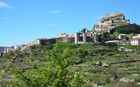 20220501Morella_01_small.jpg