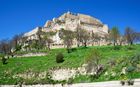 20220501Morella_03_small.jpg