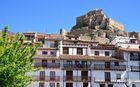 20220501Morella_08_small.jpg