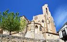 20220501Morella_17_small.jpg