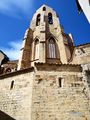 20220501Morella_19_small.jpg