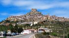 20220501Morella_21_small.jpg