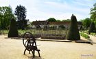 20230501Chenonceau_03_small.jpg