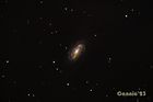 NGC2903_20230414_small.jpg
