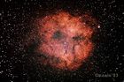 IC1396_20221231_small.jpg