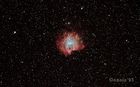 NGC2174_20230408_002_small.jpg