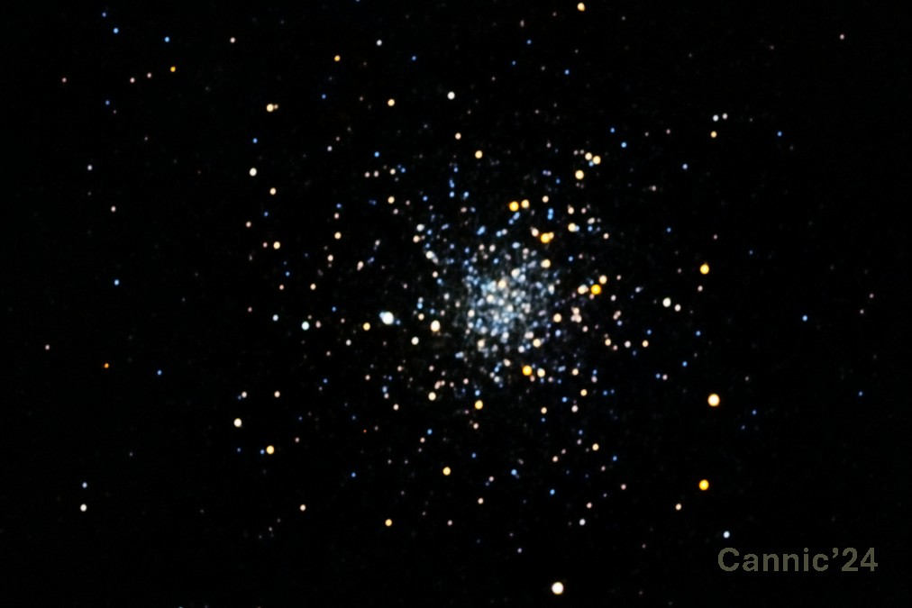 M12_20240924.jpg
