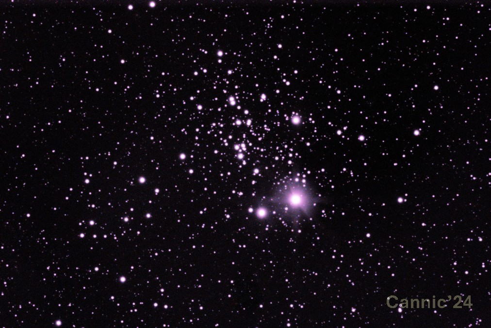 C13_20240121.jpg