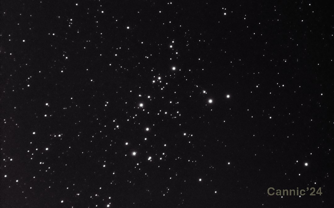 NGC1342_20240306.jpg