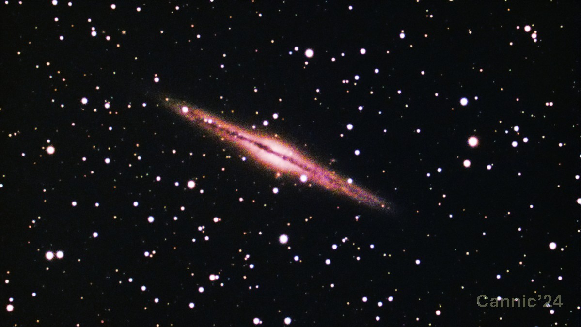 C23_20240115_02.jpg