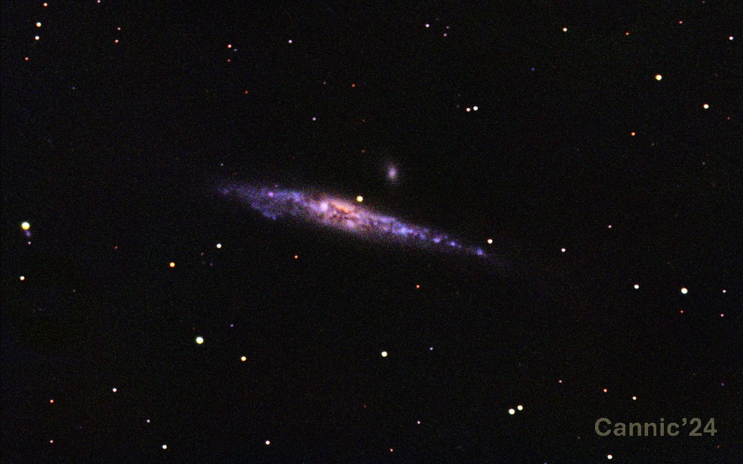 C32_20240525.jpg