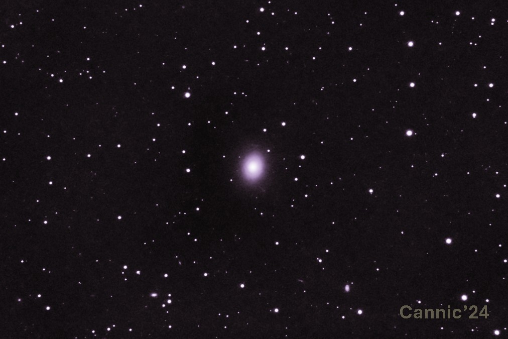 C48_20240503.jpg