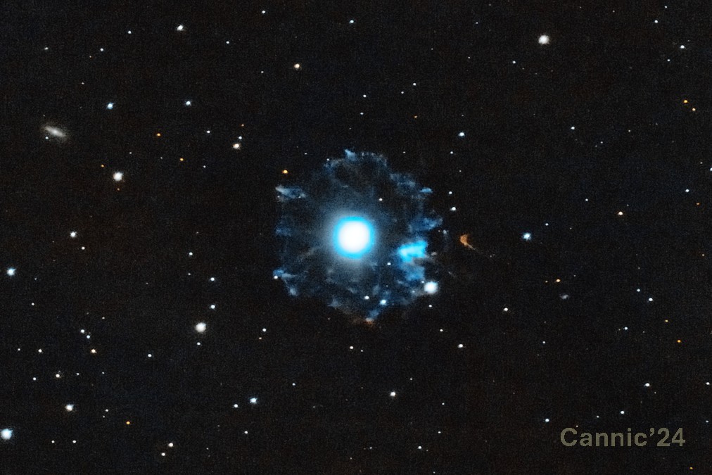 C6_20240619.jpg