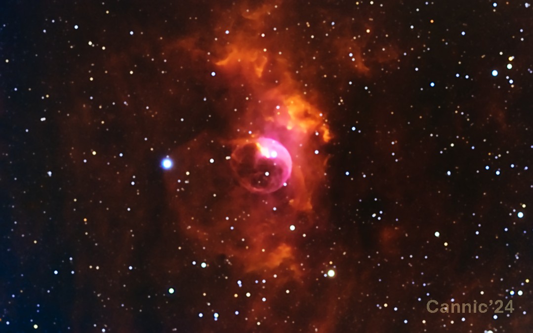 C11_20241217.jpg