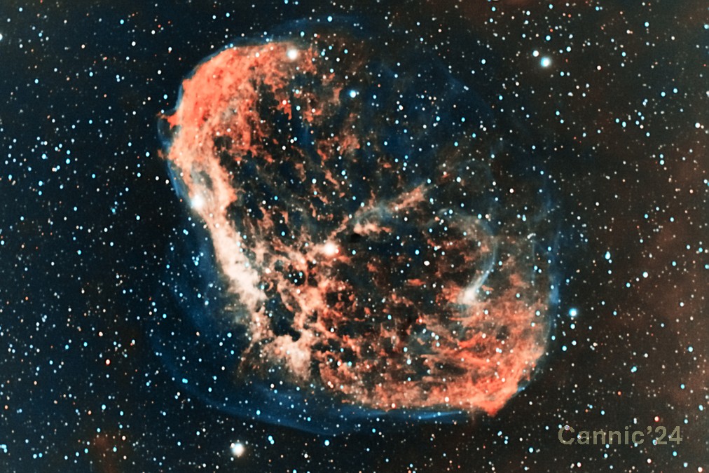 C27_20240809.jpg