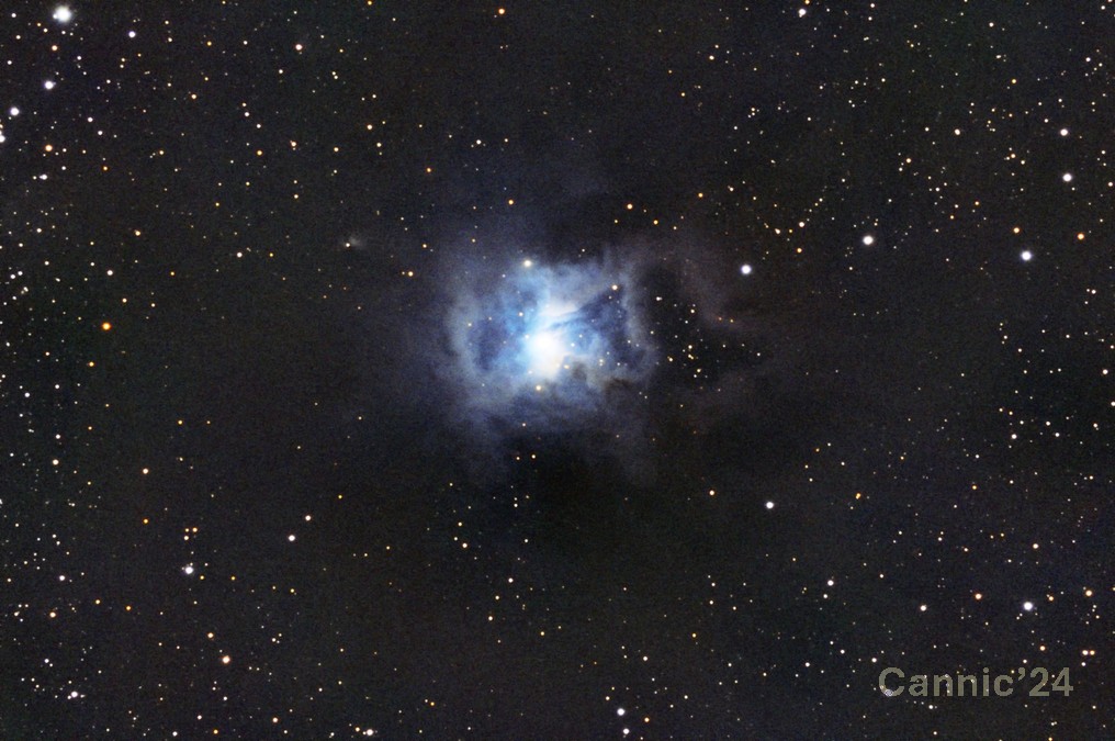 C4_20240619.jpg