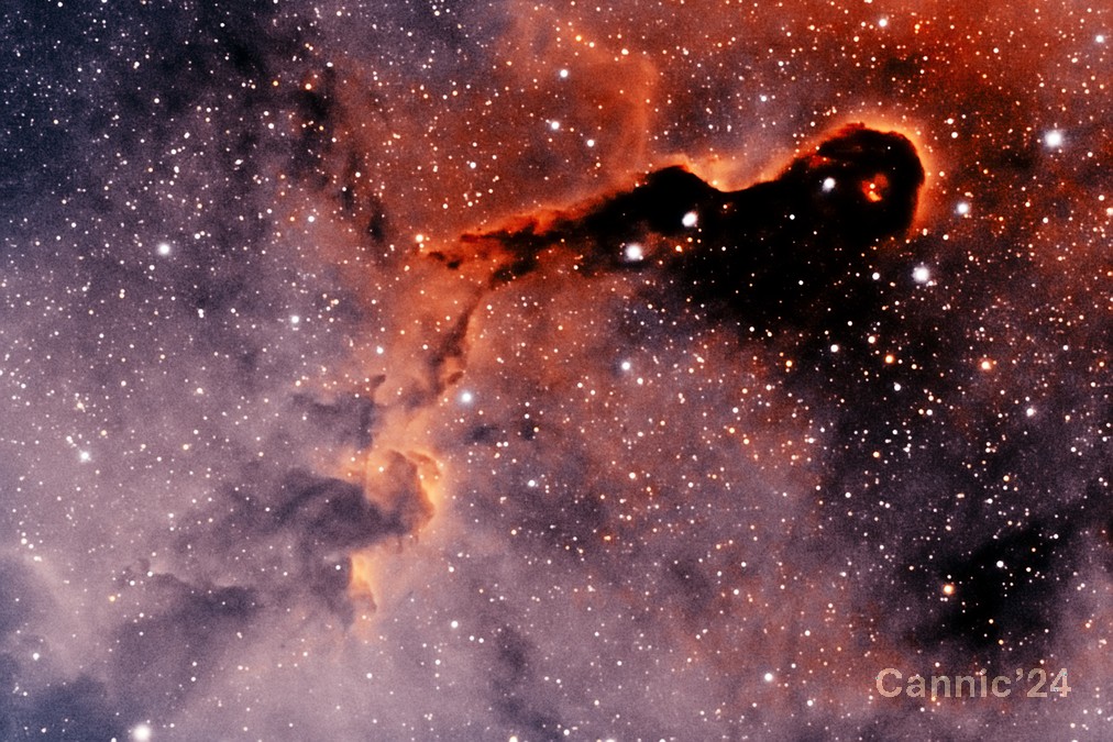 IC1396_20241111_02.jpg