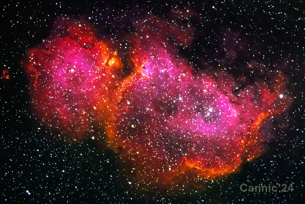 IC1848_20210204_1.jpg
