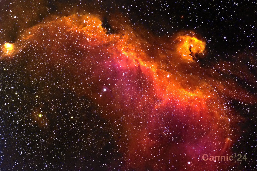 IC2177_20240313.jpg