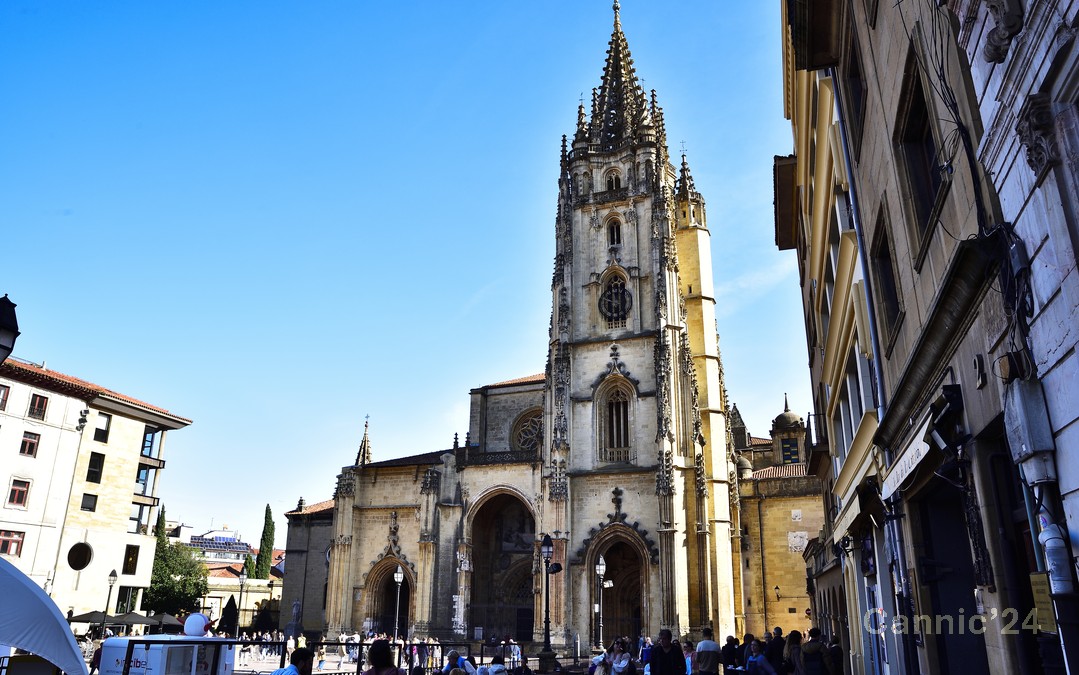 20241102_Oviedo_02.jpg