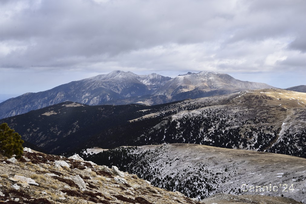 20240212_PicDona_11.jpg