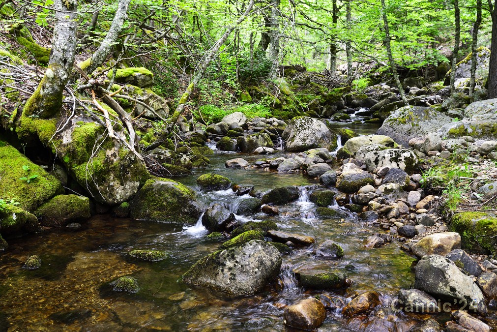 20240623_PicUrbion_04.jpg