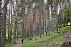 20240623_PicUrbion_11_small.jpg