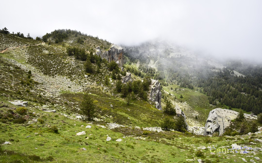 20240623_PicUrbion_42.jpg