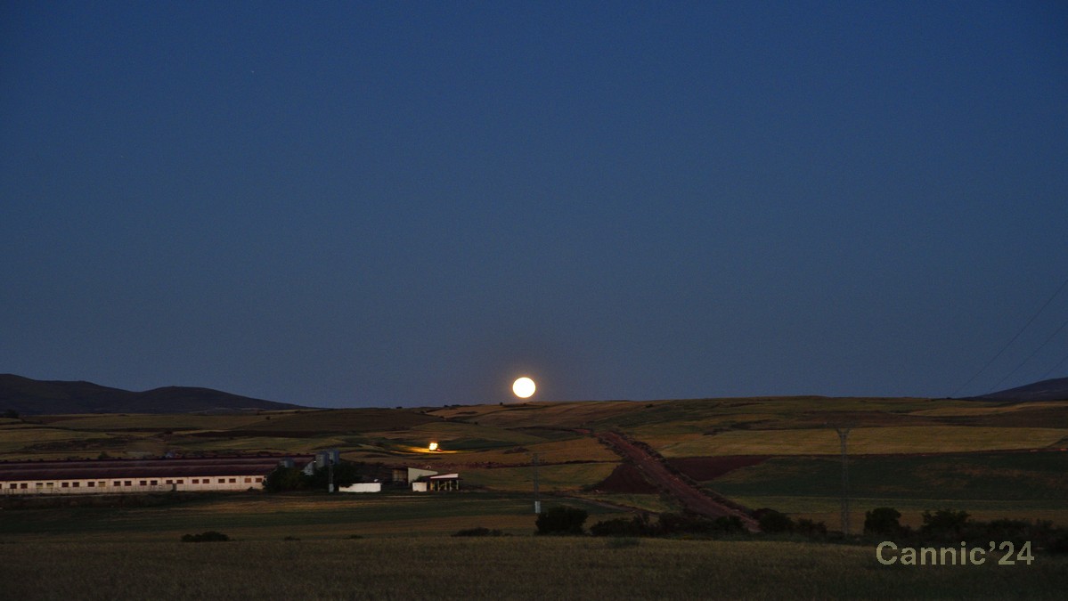 20240623_CampsSoria_05.jpg