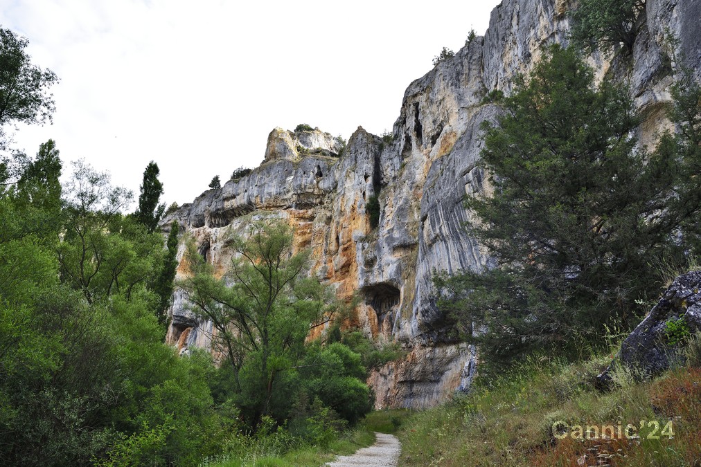 20240623_RioLobos_18.jpg