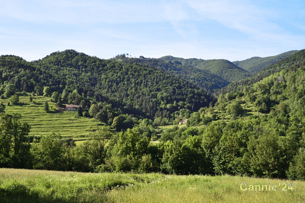 20240616_TorrentMasica_02_00002.jpg