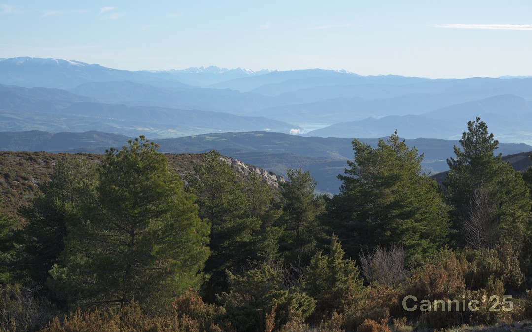 Ager_20250418_07.jpg