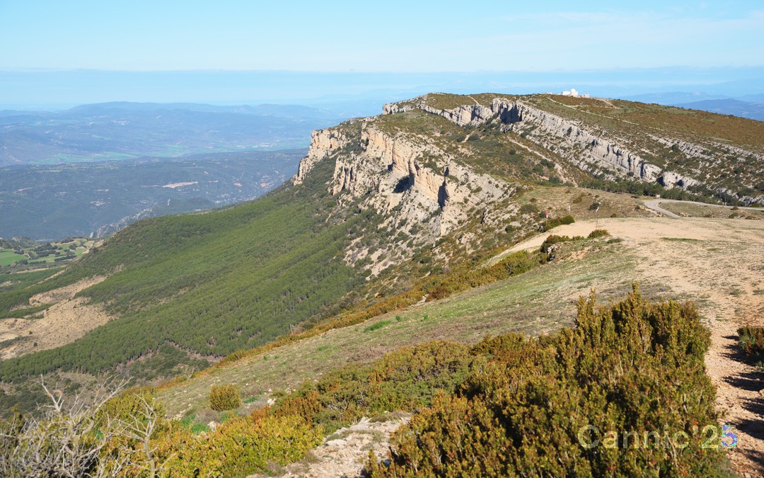 Ager_20250418_10.jpg