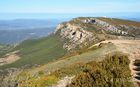 Ager_20250418_10_small.jpg