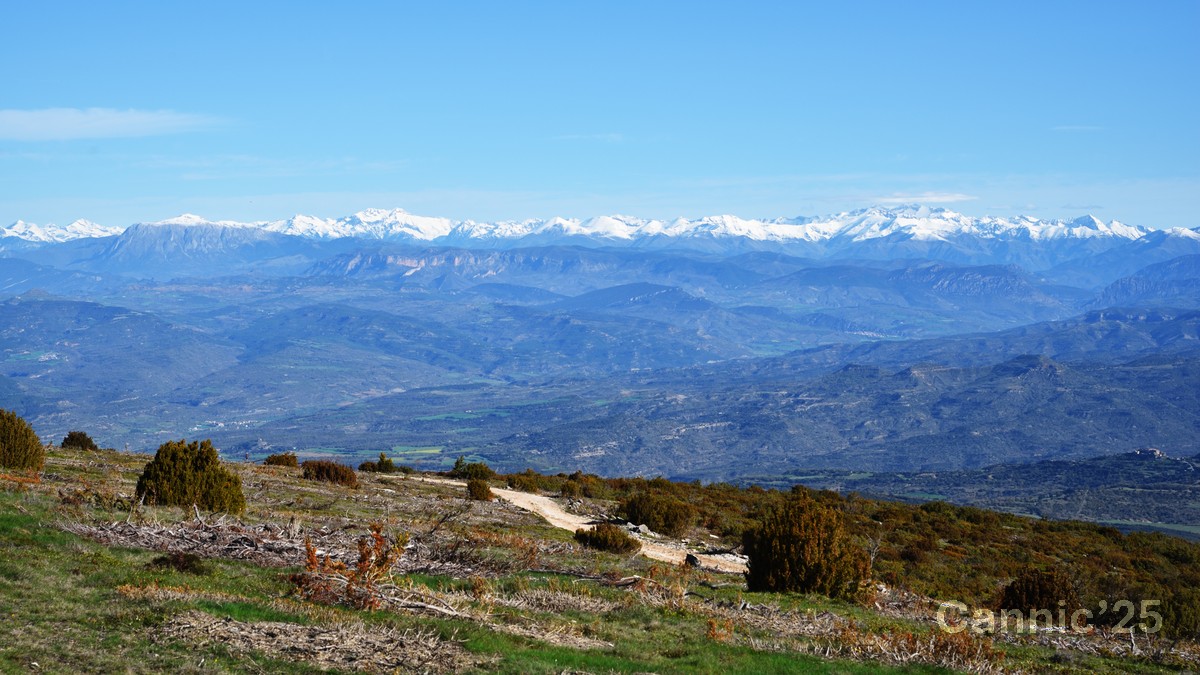 Ager_20250418_13.jpg