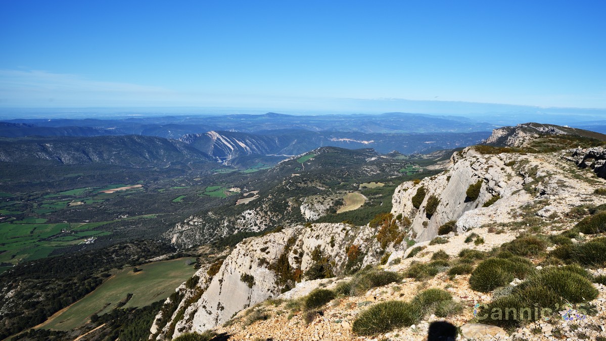 Ager_20250418_16.jpg