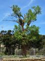 Ager_20250418_22_small.jpg