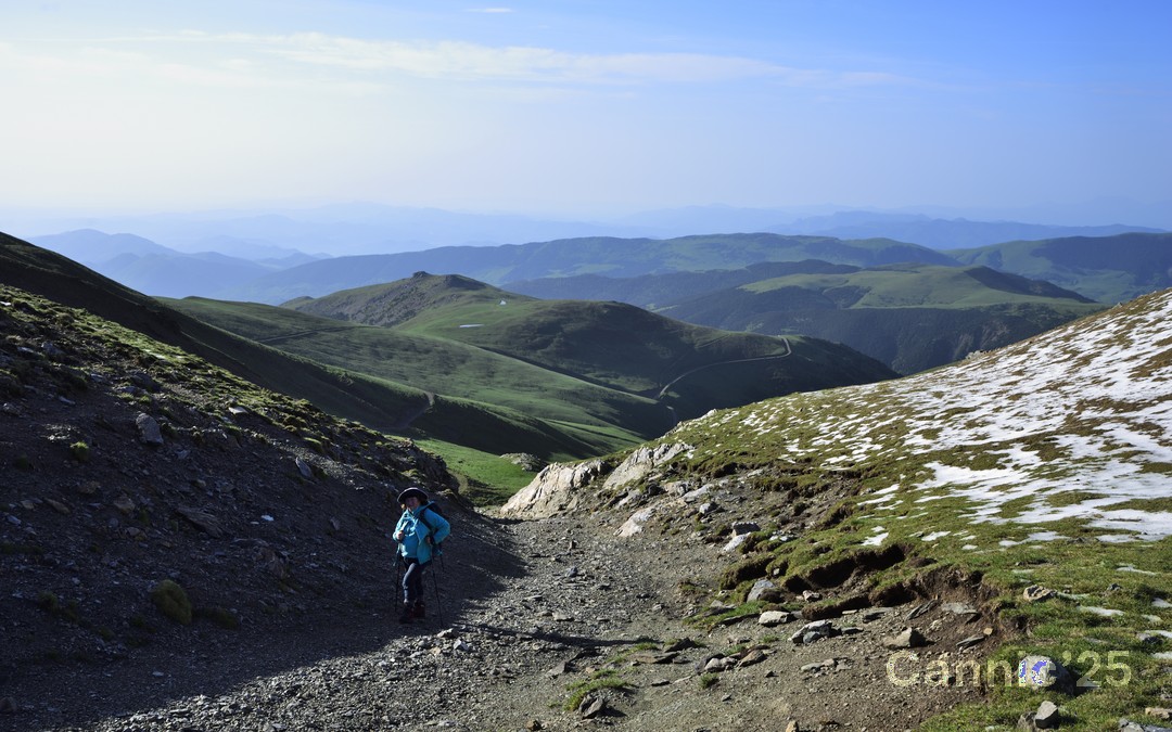 Balandrau_20250601_04.jpg