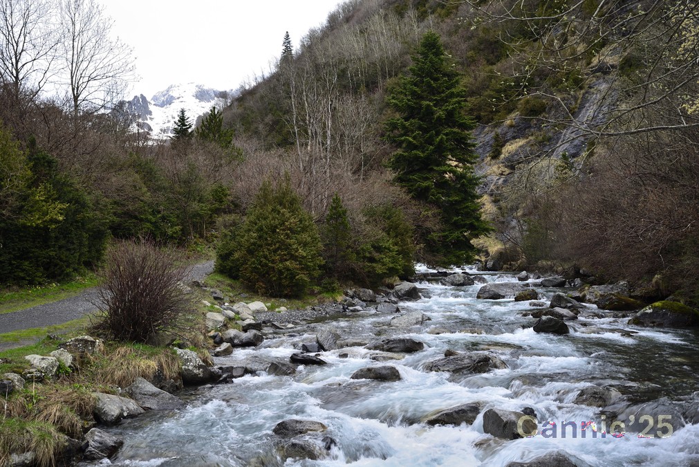 20250412_Batisielles_06.jpg