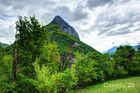 Chartreuse_20250424_02_small.jpg