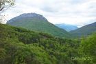 Chartreuse_20250424_04_small.jpg