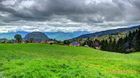 Chartreuse_20250424_05_small.jpg