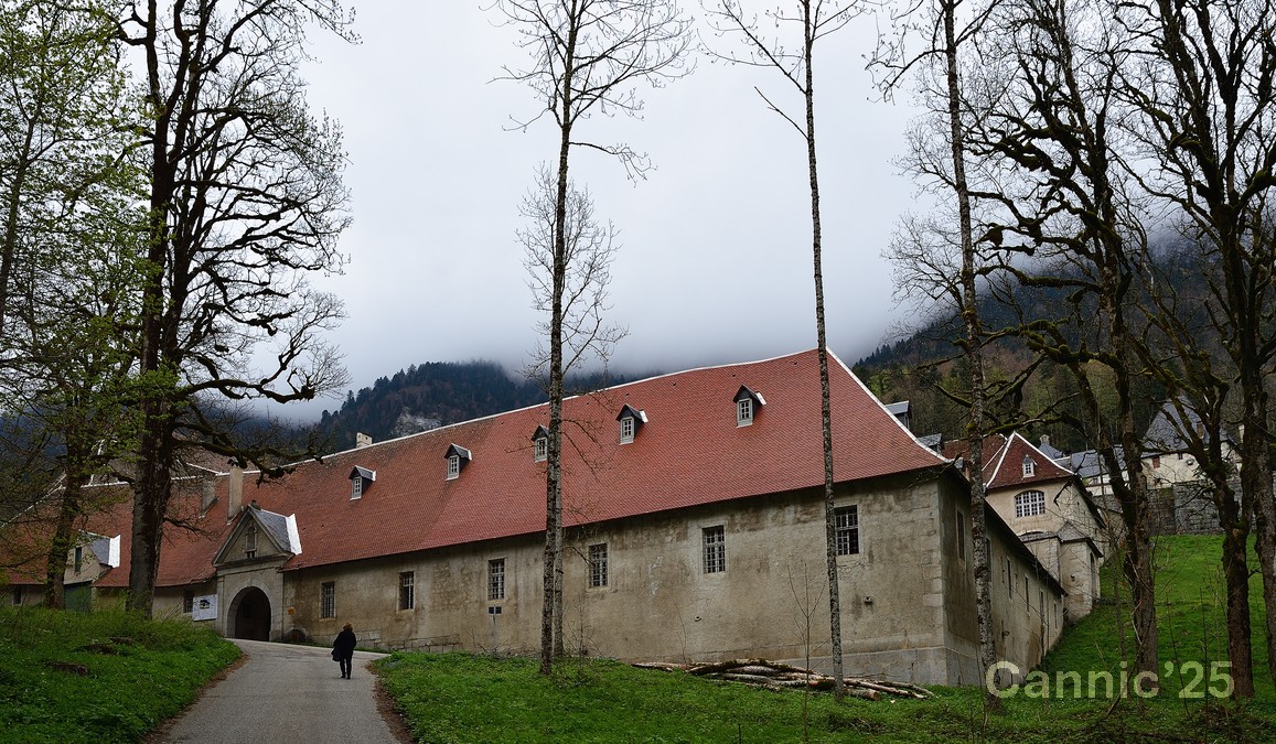 Chartreuse_20250424_07.jpg