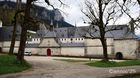 Chartreuse_20250424_10_small.jpg