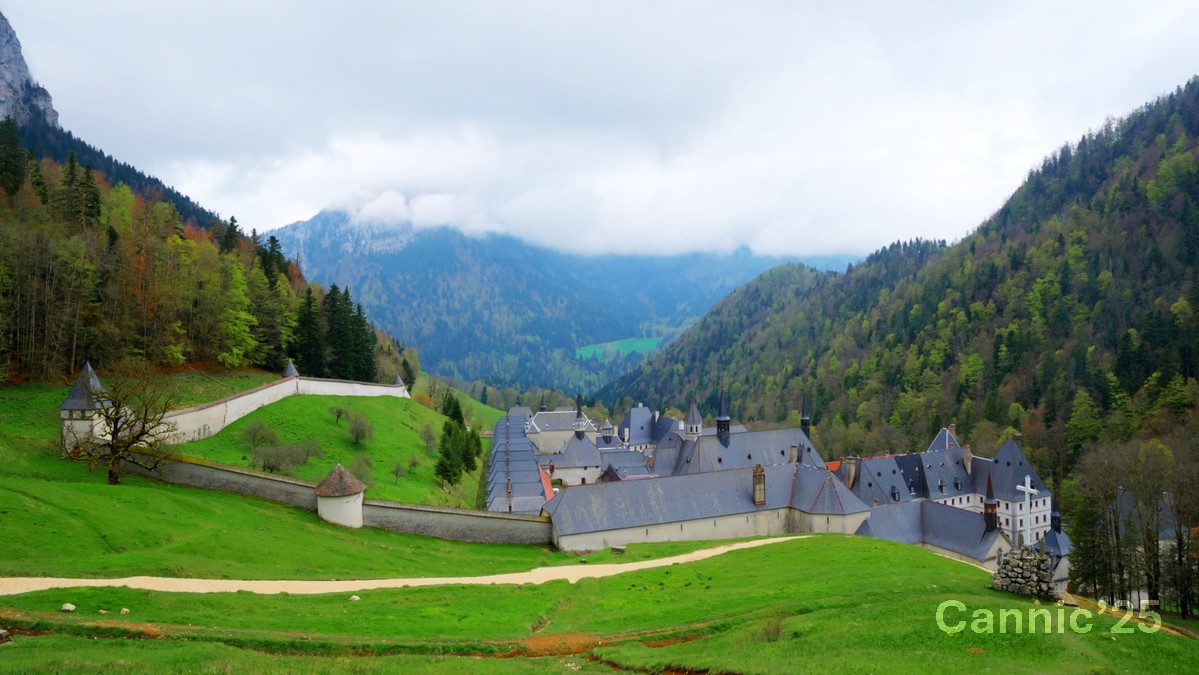 Chartreuse_20250424_12.jpg
